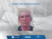 DOMINGOS RODRIGUES