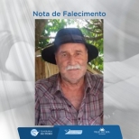NELSON MORGENTERN