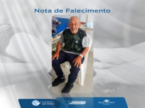 DOMINO MEIRELLES