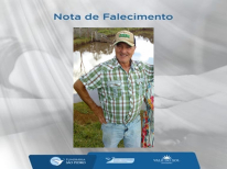ALCIDES TIBES