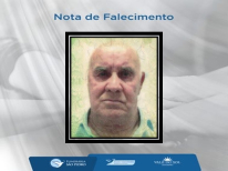 YEDO TITO TORTATO