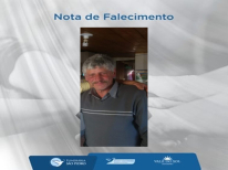 ARMINDO SIGNORELLI