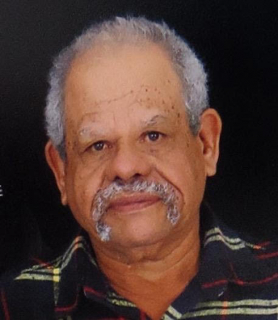 LUIZ ALVES DA SILVA