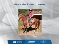RODIMAR DE MELLO