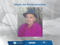 OTAVIO PEREIRA