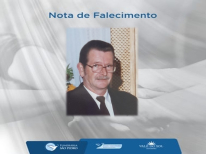 ADEMAR MORGENSTERN