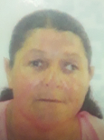 TEREZINHA APARECIDA RAMOS