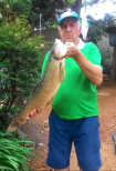 DOMINGOS DORNELES CARLET