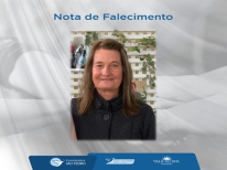 MARLENE CLEMENTINA LAMONATO