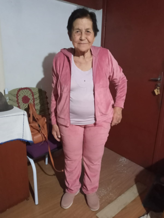 ANITA DE GOIS GOMES