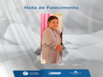 IRENE ROCHA XAVIER