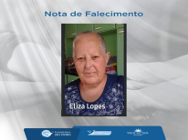 ELISA ALVES LOPES