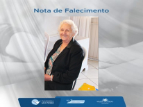 TEREZINHA SIMONETTI