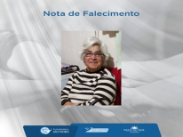 NELCI LIMA MEIRELES