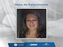 MARICI NELSI PETRY
