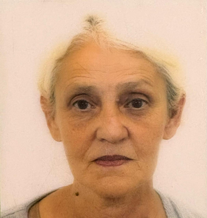 SANDRA TERESINHA NATTER DEBONI