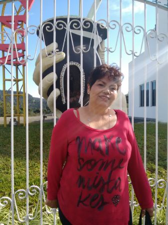 SUELI TEREZINHA DOMINGUES DA SILVA