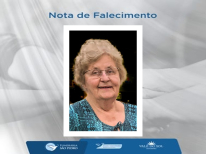 GIESELA STEIN