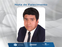 DANIEL LINS