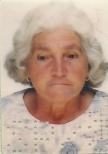 TEREZINHA INEZ VEZOLLI